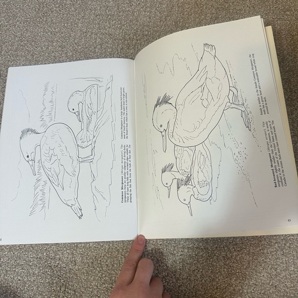Dover Coloring Books - Picture 10 of 13